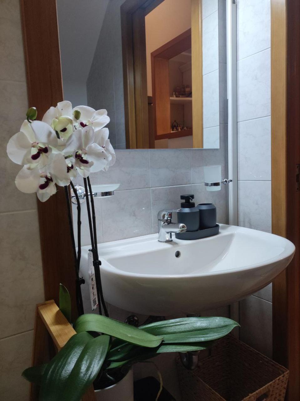 Casa Vacanza Gallipoli Centro Luaran gambar